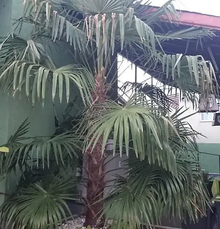 Aheloy Apartments Apartamento *