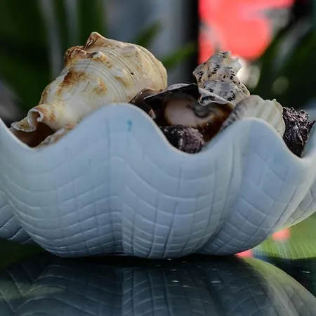 Apartamento Aheloy Apartments