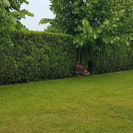 Aheloy Apartments * أهيلوي