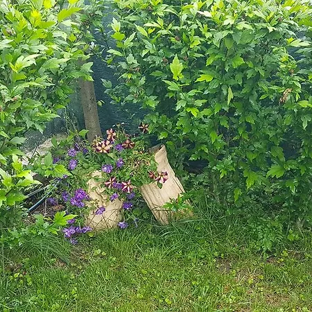 Aheloy Apartments Aheloy