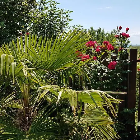 شقة Aheloy Apartments أهيلوي