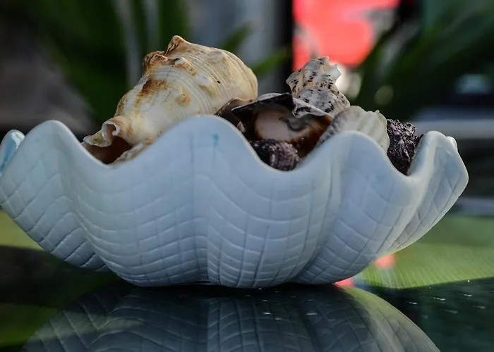 Apartmán Aheloy Apartments