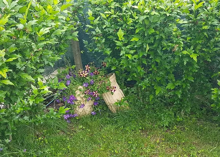 Aheloy Apartments Acheloj