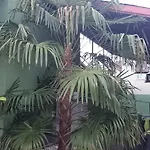 Aheloy Apartments Lejlighed *