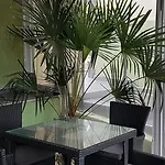 Aheloy Apartments Lejlighed *