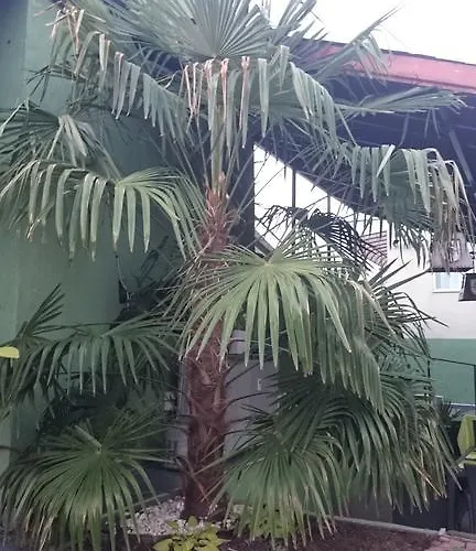 Aheloy Apartments Appartement *