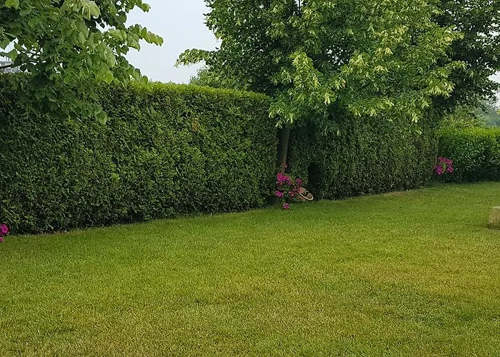 Aheloy Apartments * אהלוי