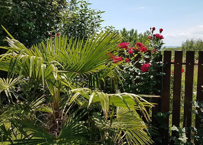 דירה Aheloy Apartments אהלוי